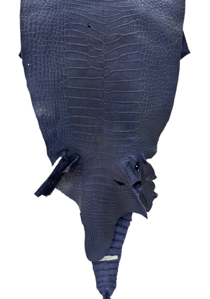 45 cm Grade 4/5 Navy Blue Desert Wild American Alligator Leather - Tag: LA24-0040013