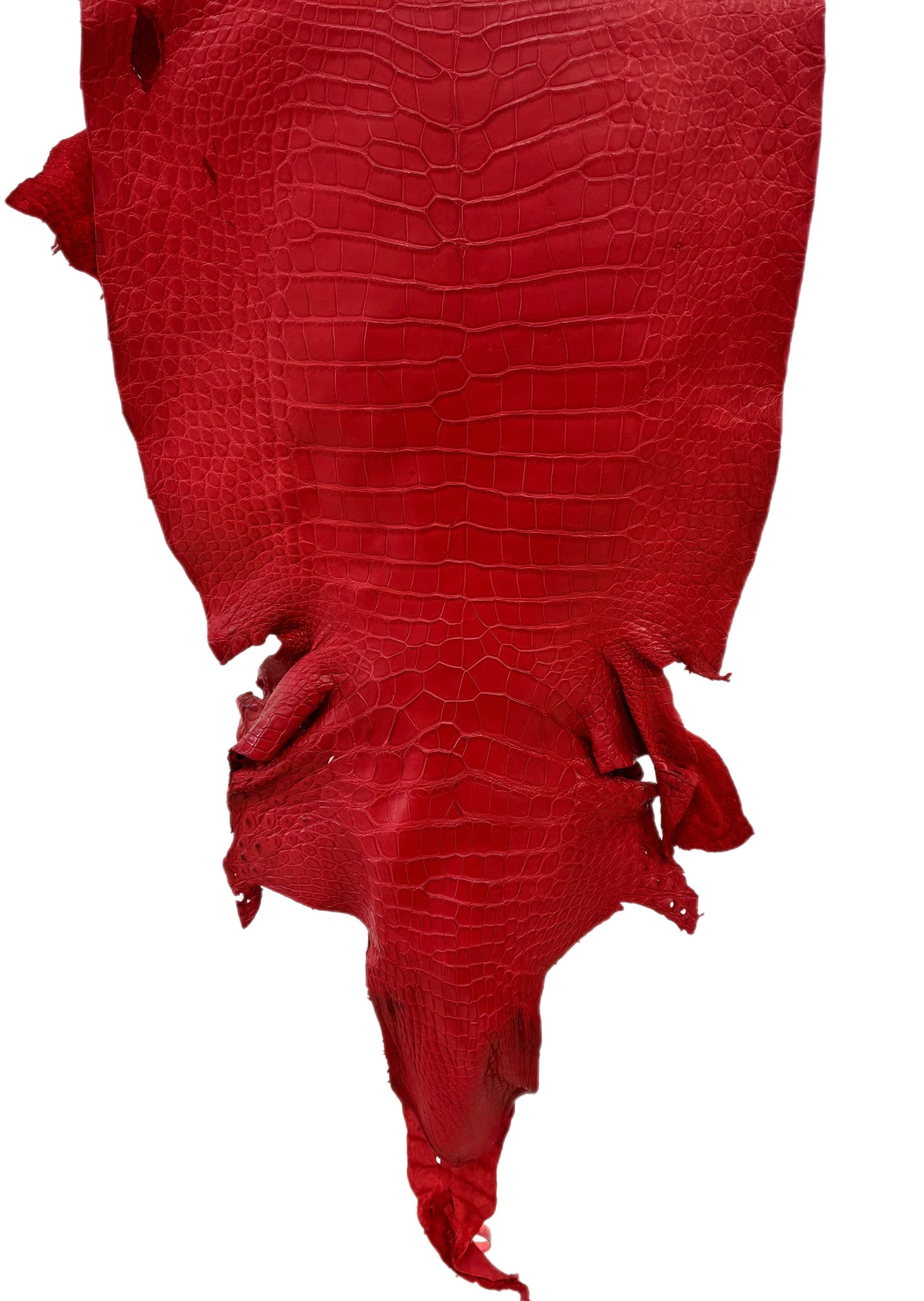 43 cm Grade 3/4 Candy Apple Red Matte Wild American Alligator Leather - Tag: LA24-0035662
