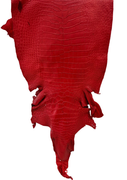 43 cm Grade 3/4 Candy Apple Red Matte Wild American Alligator Leather - Tag: LA24-0035662