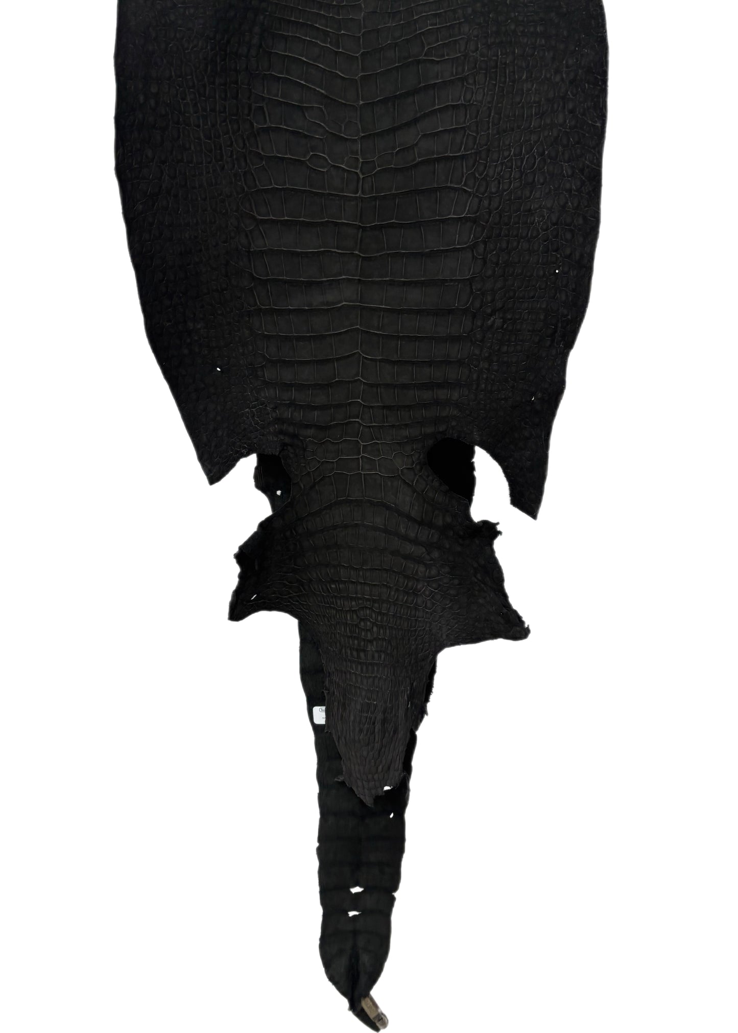37 cm Grade 3/4 Black Nubuck Wild American Alligator Leather - Tag: LA23-0003712