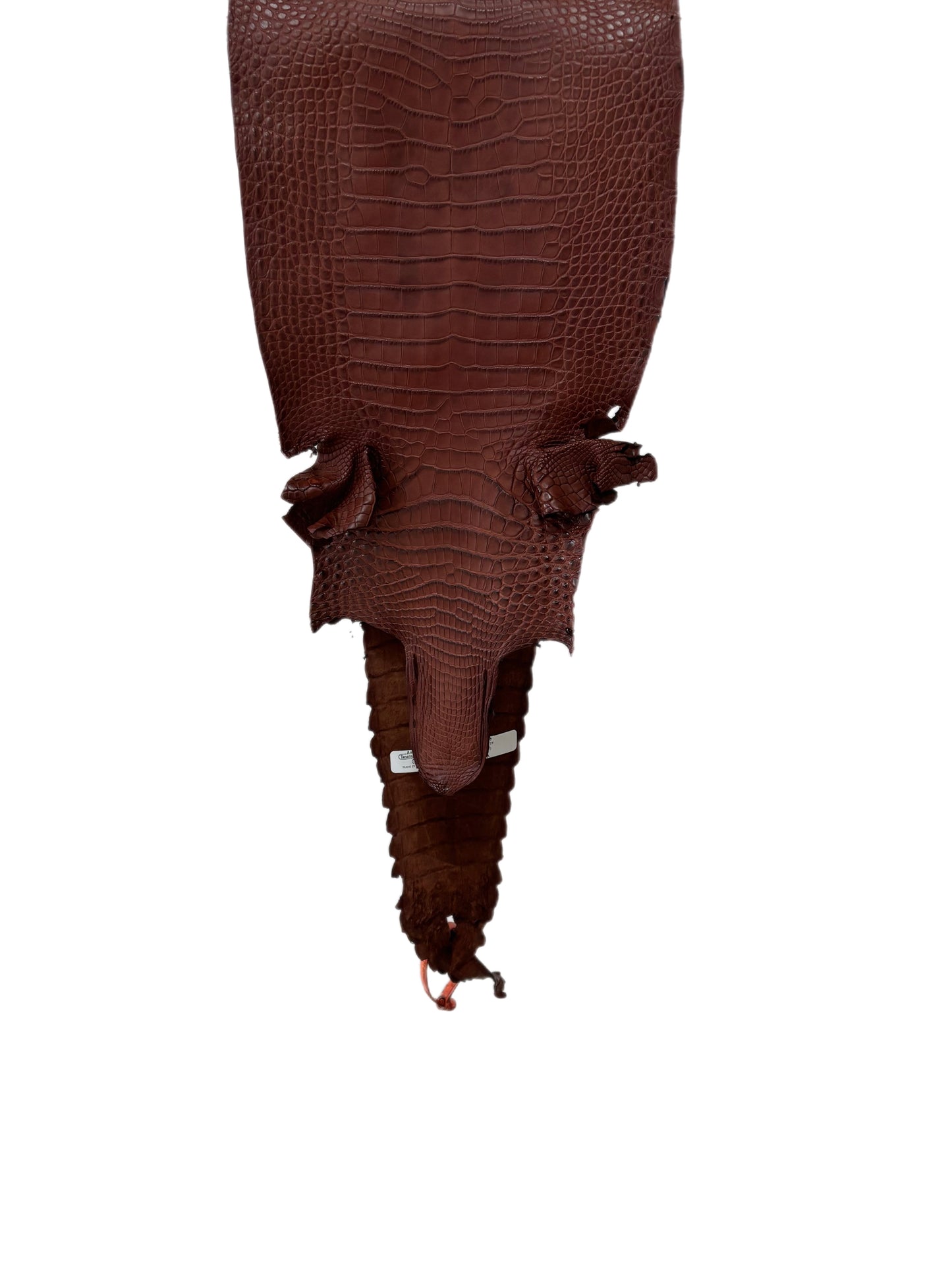 25 cm Grade 3/4 Italian Gold Matte Farm-Raised American Alligator Leather - Tag: FL21-0024627