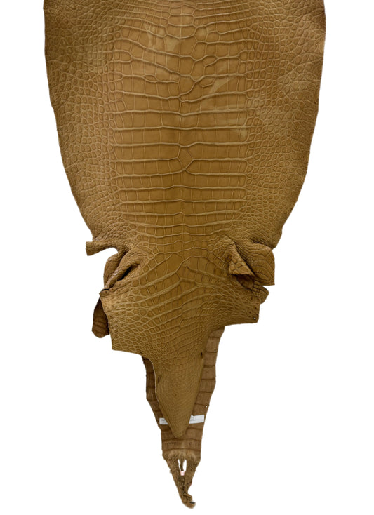45 cm Grade 2/3 Antique Saddle Matte Wild American Alligator Leather - Tag: LA18-0037555