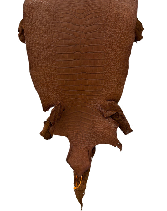 40 cm Grade 4/5 Cigar Matte Wild American Alligator Leather - Tag: LA22-0020926