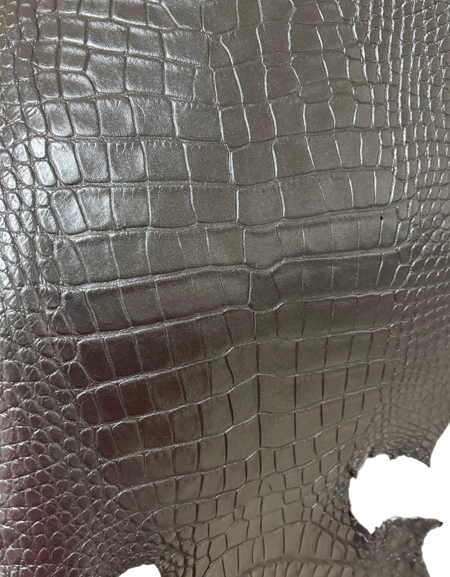 31 cm Grade 2/3 Metallic Black Shimmer Matte Wild American Alligator Leather - Tag: LA18-0037370