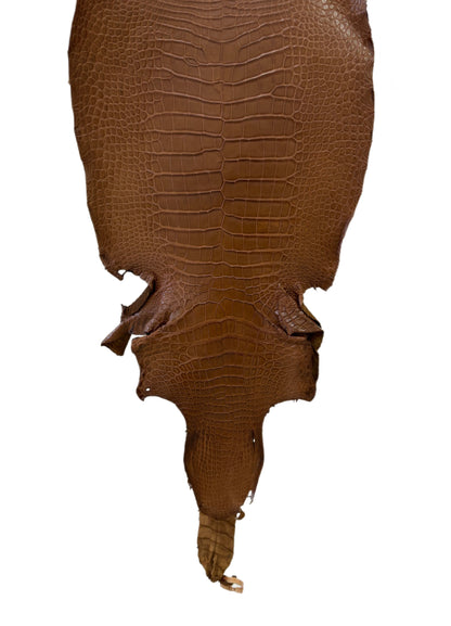 40 cm Grade 2/3 Kango Tabac Matte Wild American Alligator Leather - Tag: LA23-0030531