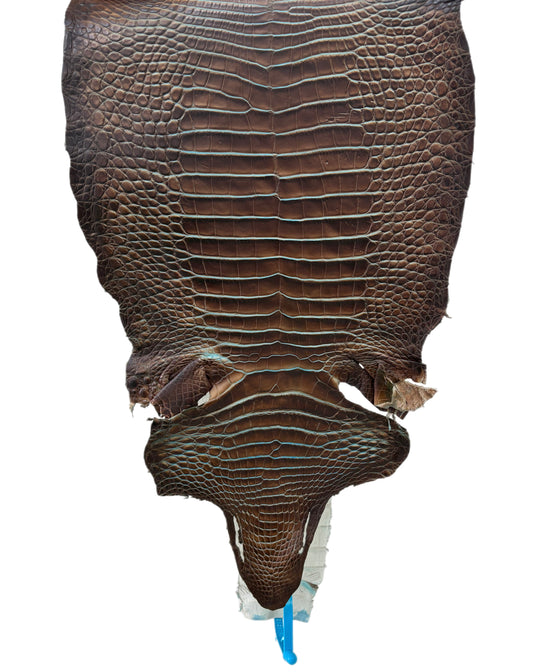 30 cm Grade 2/3 Pacifica Matte Wild American Alligator Leather - Tag: ESRE-0050913