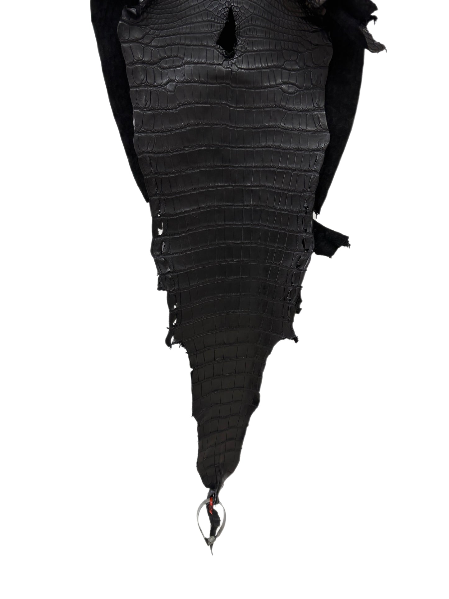 32 cm Grade 2/3 Black Matte Farm-Raised American Alligator Leather - Tag: LA23-0531366