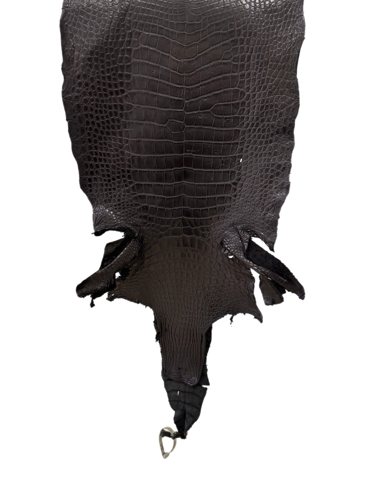 37 cm Grade 3/4 Black Matte Wild American Alligator Leather - Tag: LA23-0001471