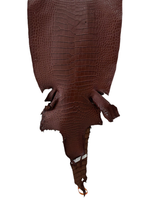 39 cm Grade 3/4 Chesnut Matte Wild American Alligator Leather - Tag: LA23-0050081