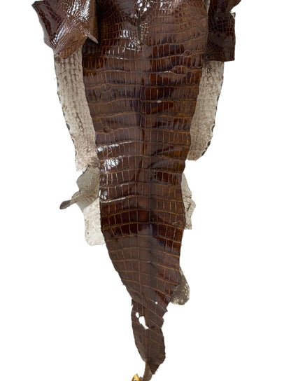 42 cm Grade 3/4 Brown Glazed Wild American Alligator Leather - Tag: LA23-0000497