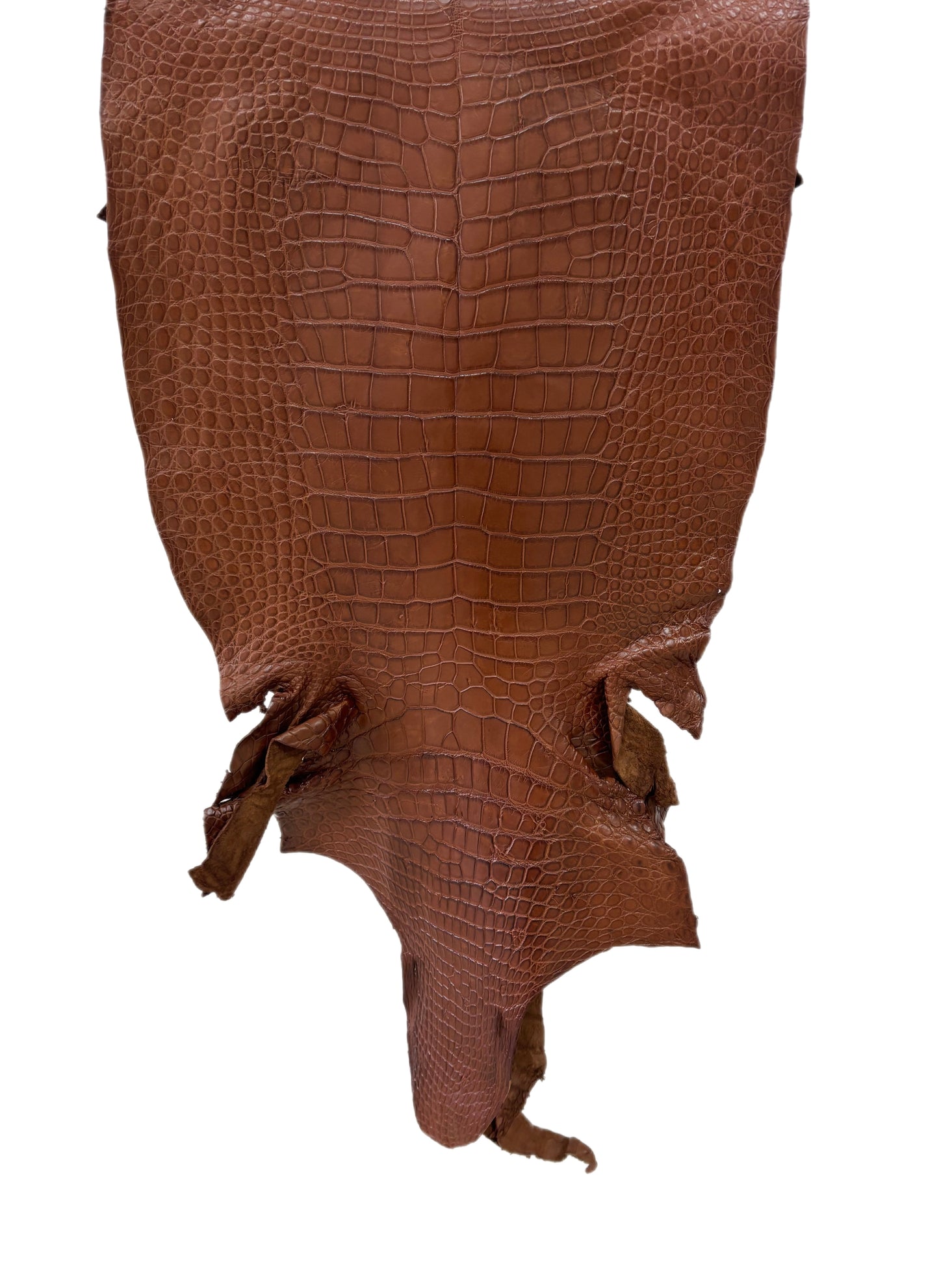 46 cm Grade 3/4 Cigar Matte Wild American Alligator Leather - Tag: LA24-0022295