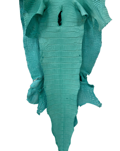 43 cm Grade 3/4 Seafoam Matte Wild American Alligator Leather - Tag: LA23-0015306