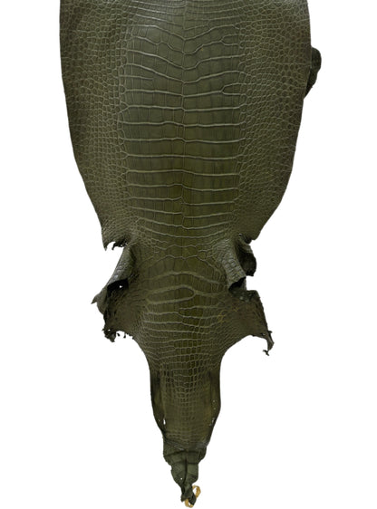 41 cm Grade 3/4 Olive Matte Wild American Alligator Leather - Tag: LA23-0013901