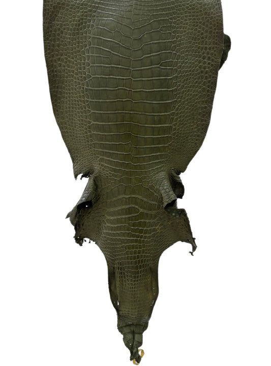 41 cm Grade 3/4 Olive Matte Wild American Alligator Leather - Tag: LA23-0013901