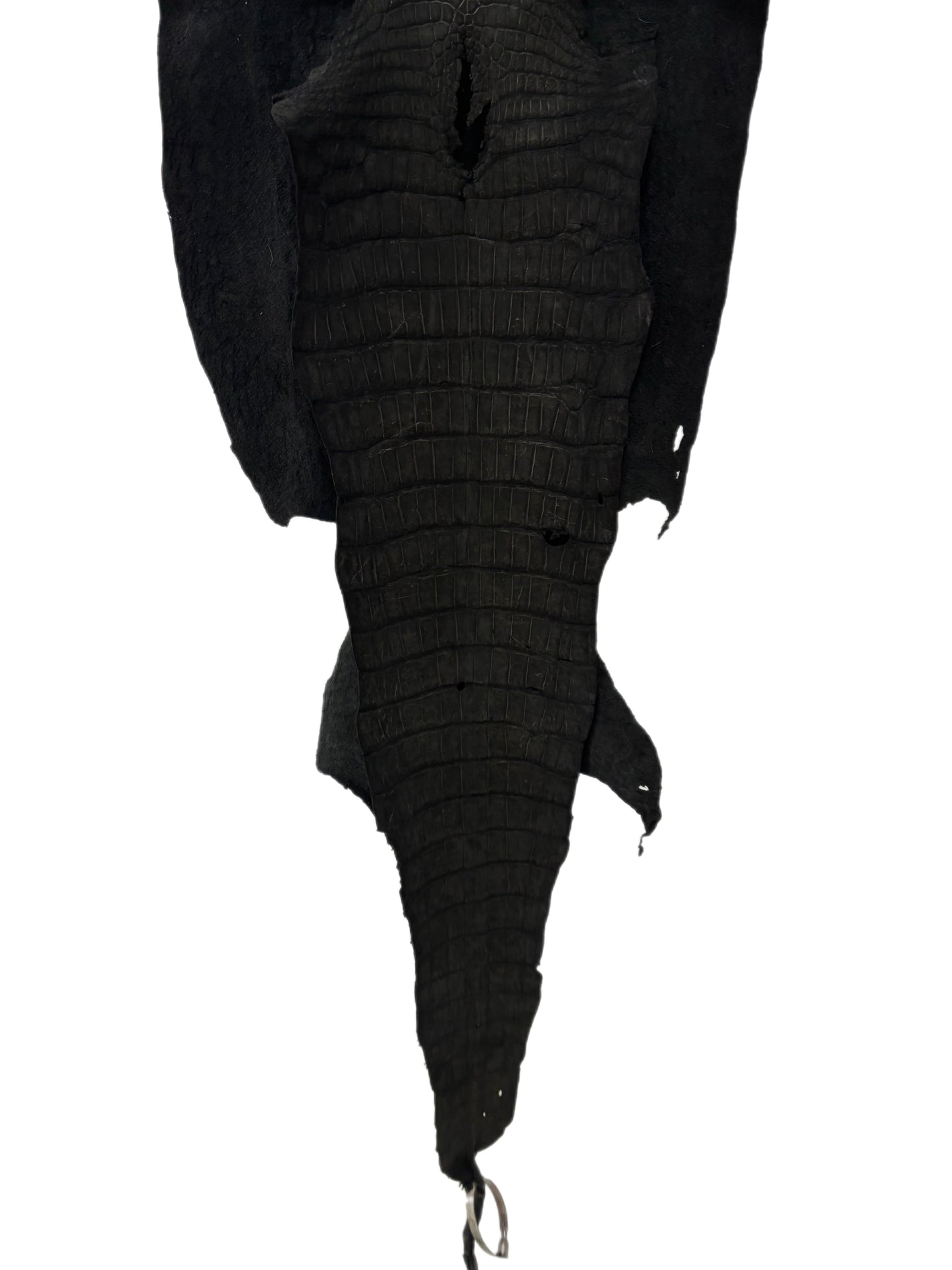 41 cm Grade 4/5 Black Nubuck Wild American Alligator Leather - Tag: LA23-0006904