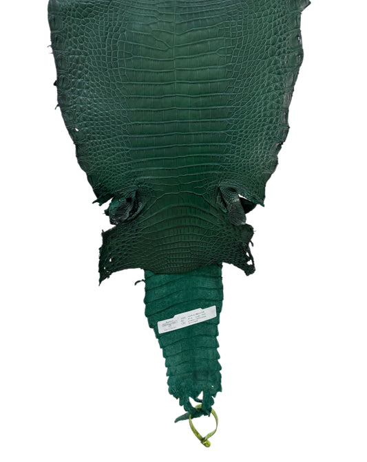 26 cm Grade 3/4 Forest Green Matte Farm Raised American Alligator Leather - Tag: FL22-0030114