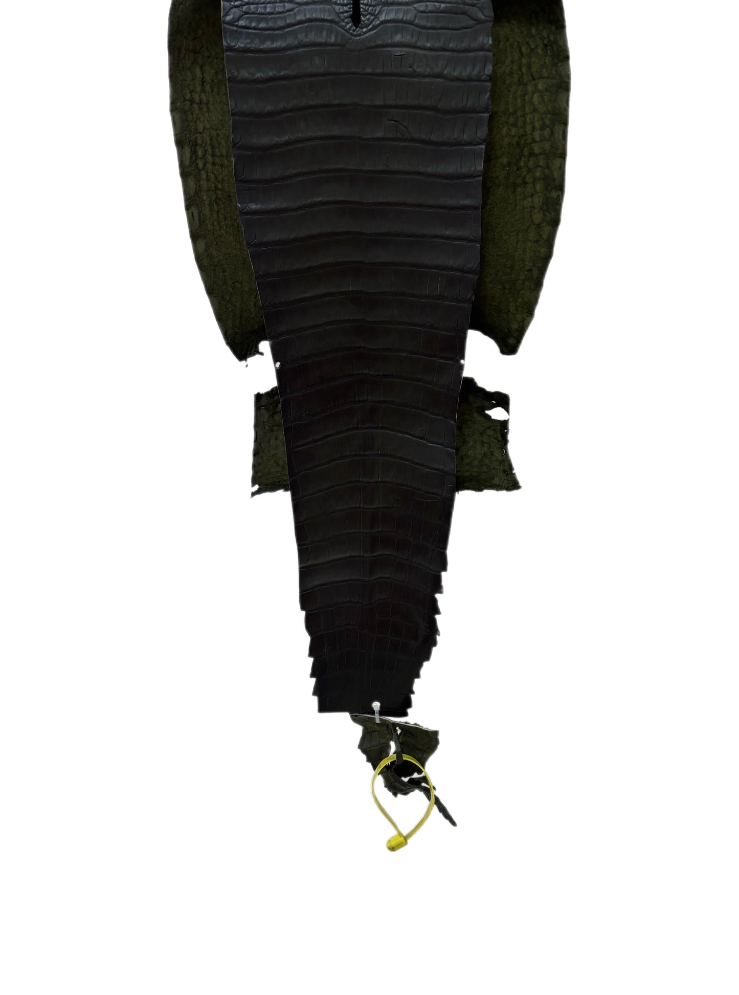 25 cm Grade 1/2 Olive Antique Farm-Raised American Alligator Leather - Tag: FL22-0030015