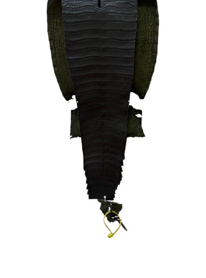 25 cm Grade 1/2 Olive Antique Farm-Raised American Alligator Leather - Tag: FL22-0030015