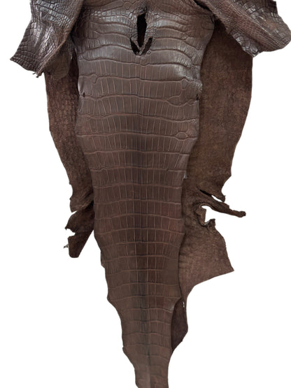 40 cm Grade 3/4 Chocolate Matte Wild American Alligator Leather - Tag: LA23-0017105