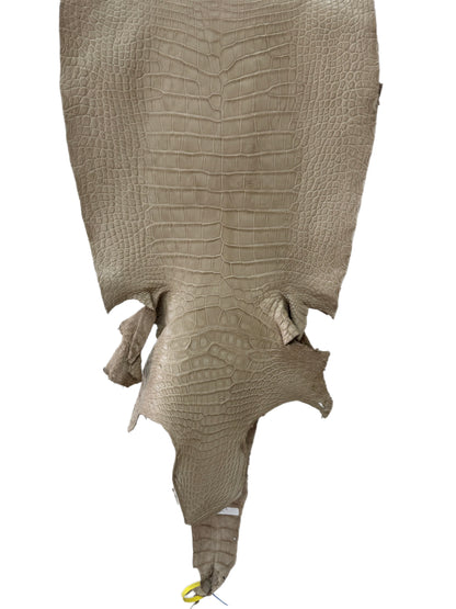 47 cm Grade 2/3 Oatmeal Matte Wild American Alligator Leather - Tag: LA25-0009913