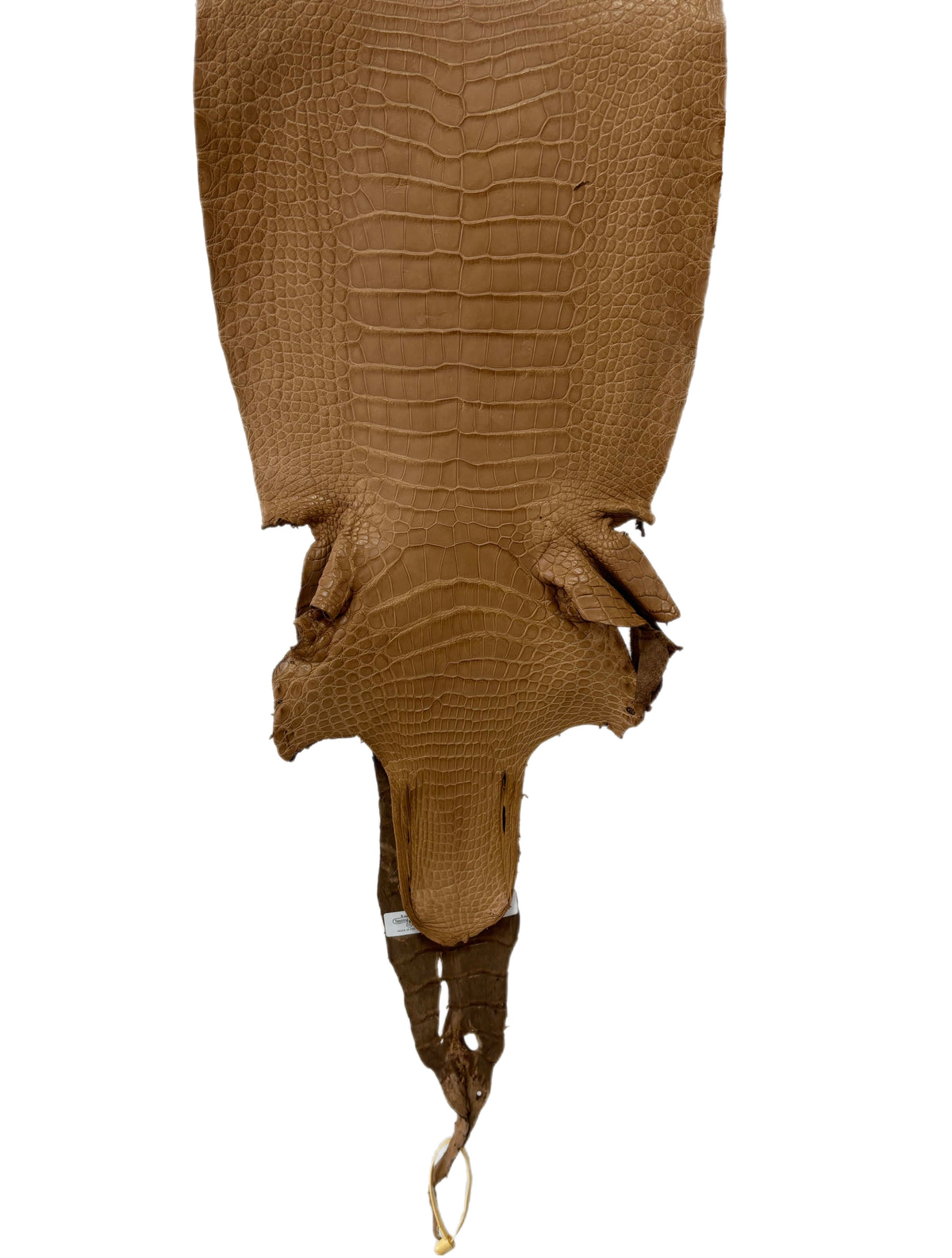 32 cm Grade 4/5 Cammello Matte Wild American Alligator Leather - Tag: LA14-0039297