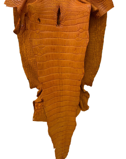 45 cm Grade 4/5 Buttercup Matte Wild American Alligator Leather - Tag: LA23-0014950