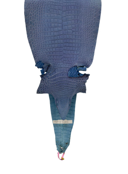 27 cm Grade 2/3 Carolina Blue Matte Farm-Raised American Alligator Leather - Tag: FL21-0025101