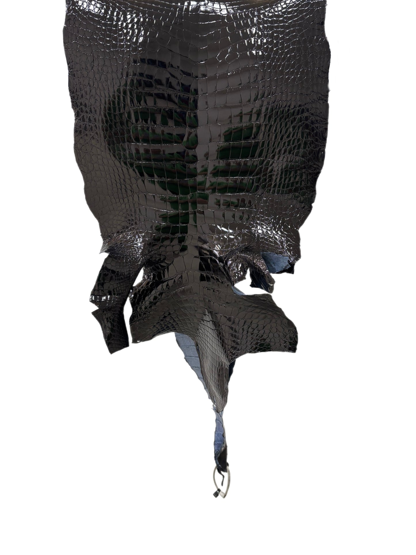 42 cm Grade 1/2 Black Glazed Wild American Alligator Leather - Tag: LA23-0050109