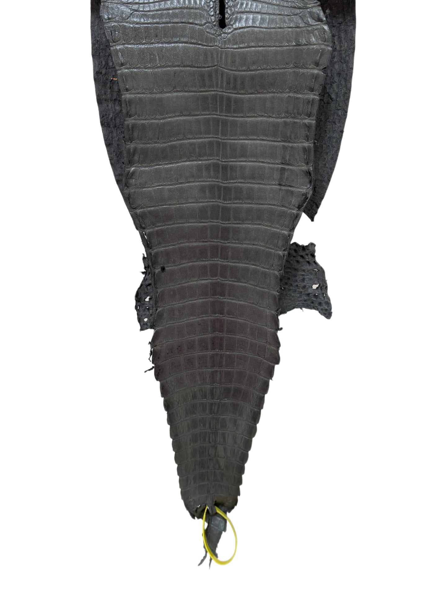 26 cm Grade 1/2 Gunmetal Matte Farm-Raised American Alligator Leather - Tag: FL22-0030386