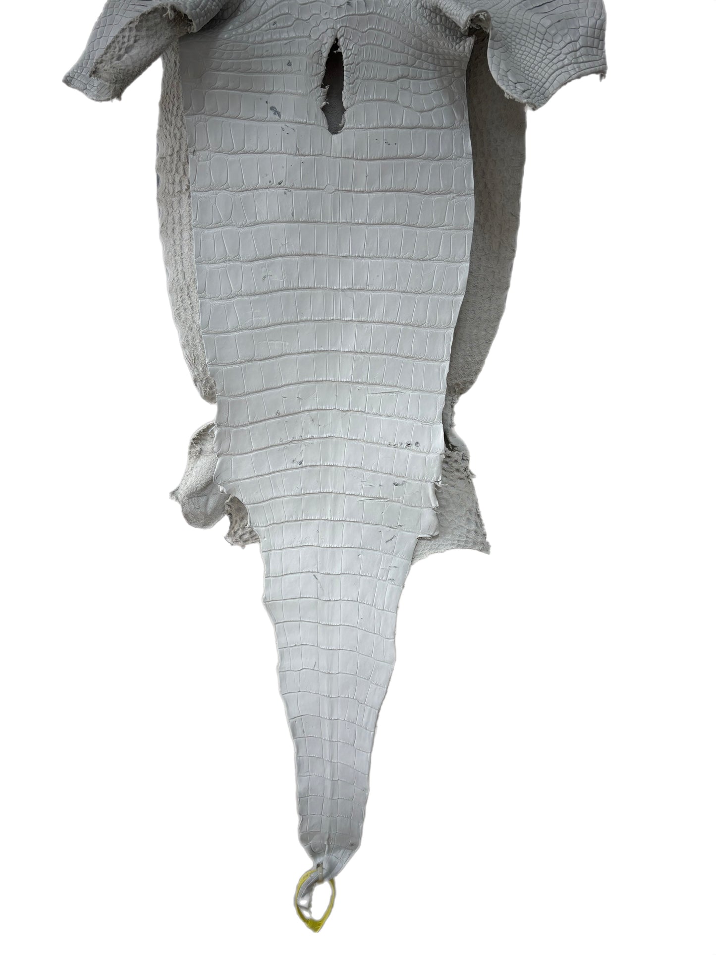 36 cm Grade 2/3 White Matte Farm-Raised American Alligator Leather - Tag: LA25-0316233