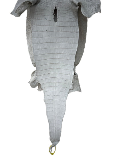 36 cm Grade 2/3 White Matte Farm-Raised American Alligator Leather - Tag: LA25-0316233