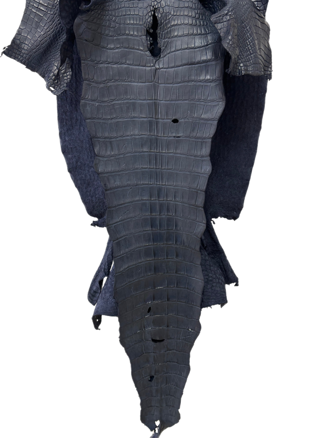 48 cm Grade 2/3 Navy Blue Matte Wild American Alligator Leather - Tag: LA25-0035232