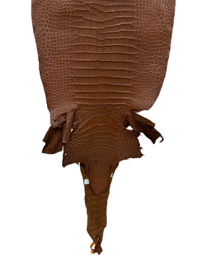 33 cm Grade 2/3 Cigar Matte Farm-Raised American Alligator Leather - Tag: FL17-0036486