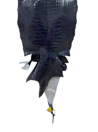 33 cm Grade 1/2 Navy Blue Glazed Wild American Alligator Leather - Tag: LA17-0038532