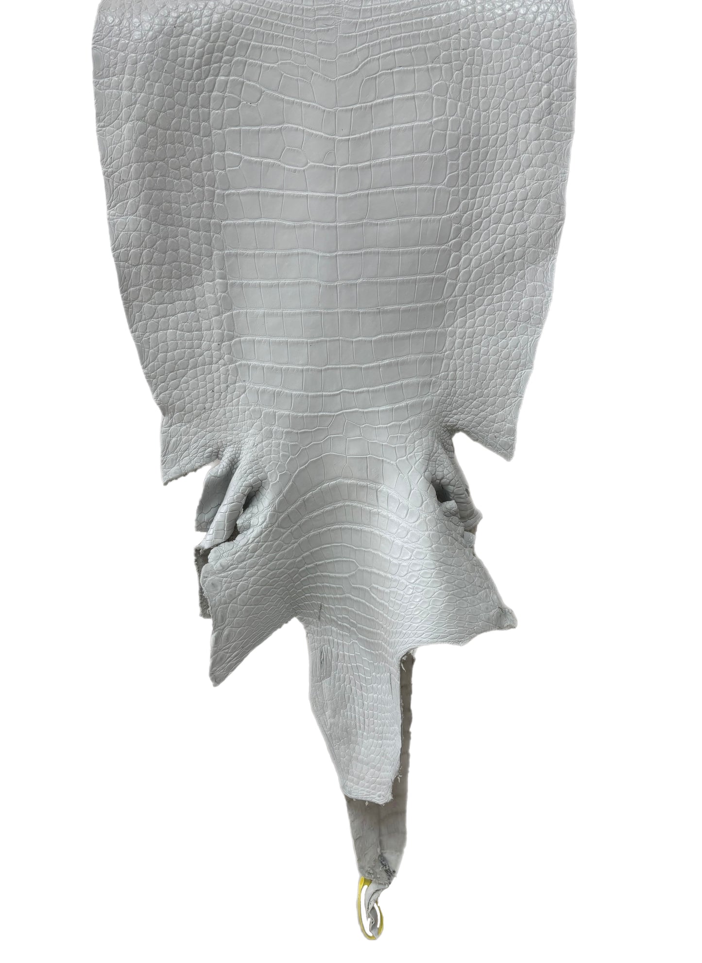 49 cm Grade 3/4 White Matte Wild American Alligator Leather - Tag: LA25-0024250