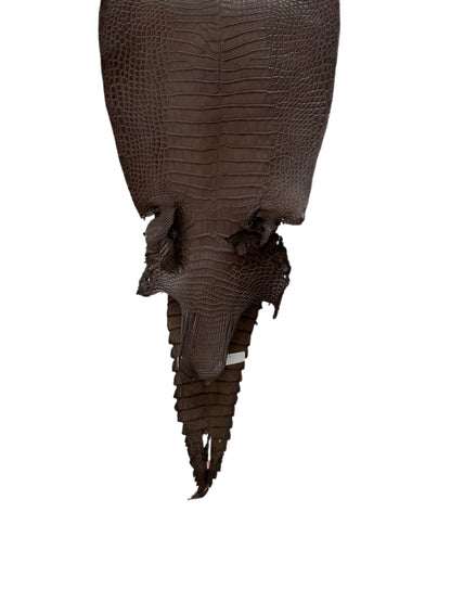27 cm Grade 2/3 Nicotine Matte Farm-Raised American Alligator Leather - Tag: FL21-0023982