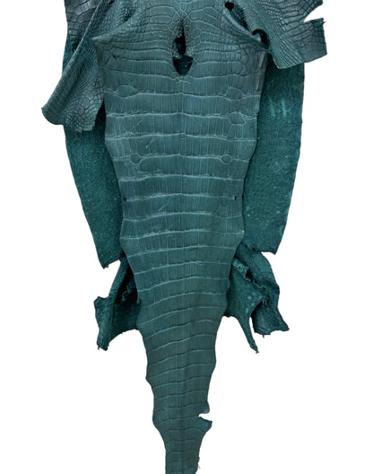 44 cm Grade 3/4 Teal Matte Wild American Alligator Leather - Tag: LA23-0002845