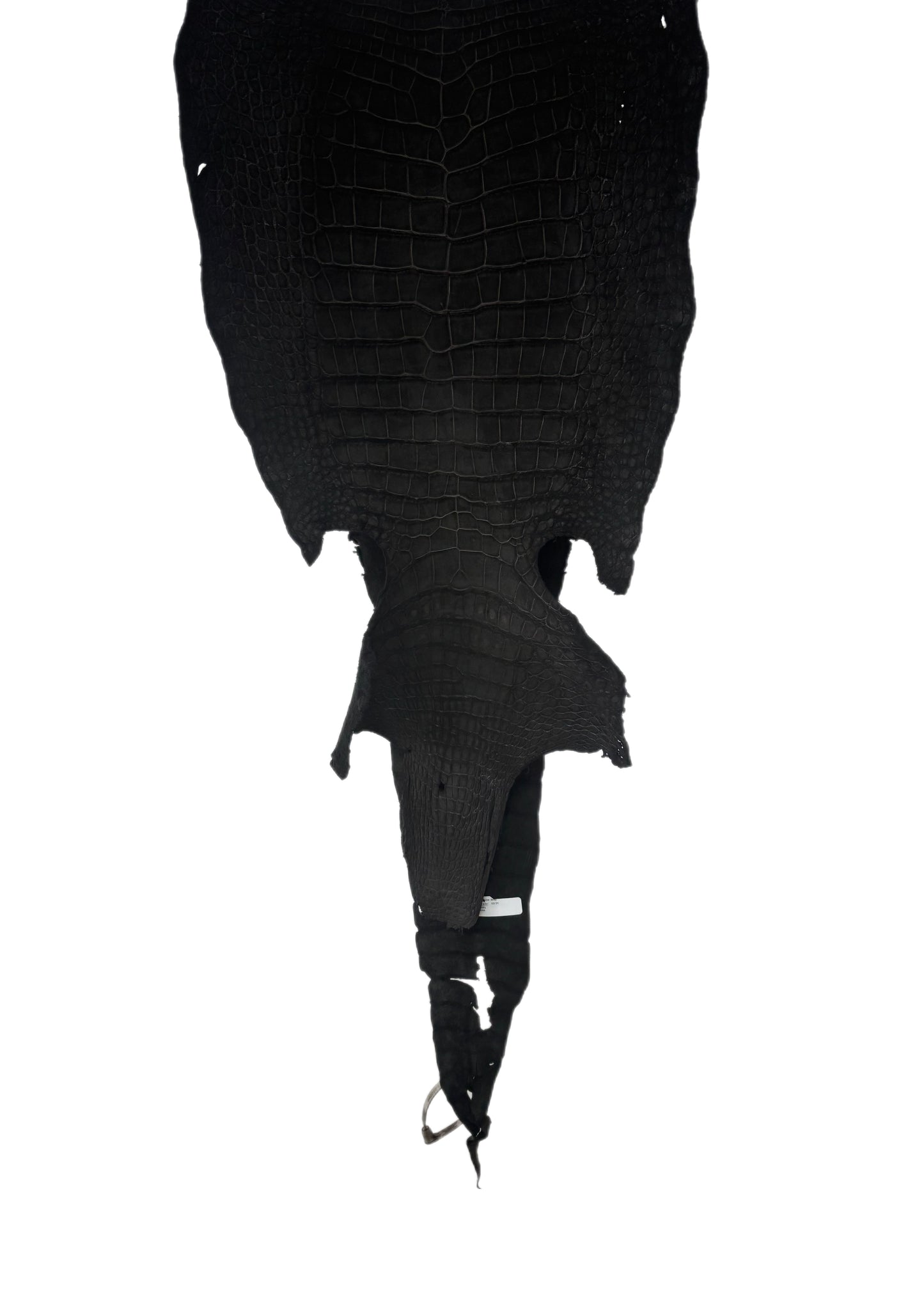36 cm Grade 3/4 Black Nubuck Wild American Alligator Leather - Tag: LA23-0002064