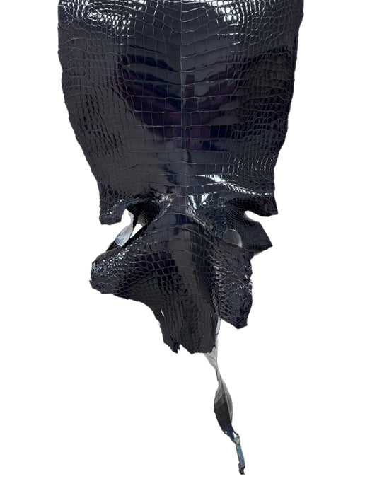 35 cm Grade 1/2 Navy Blue Glazed Wild American Alligator Leather - Tag: LA16-0035676