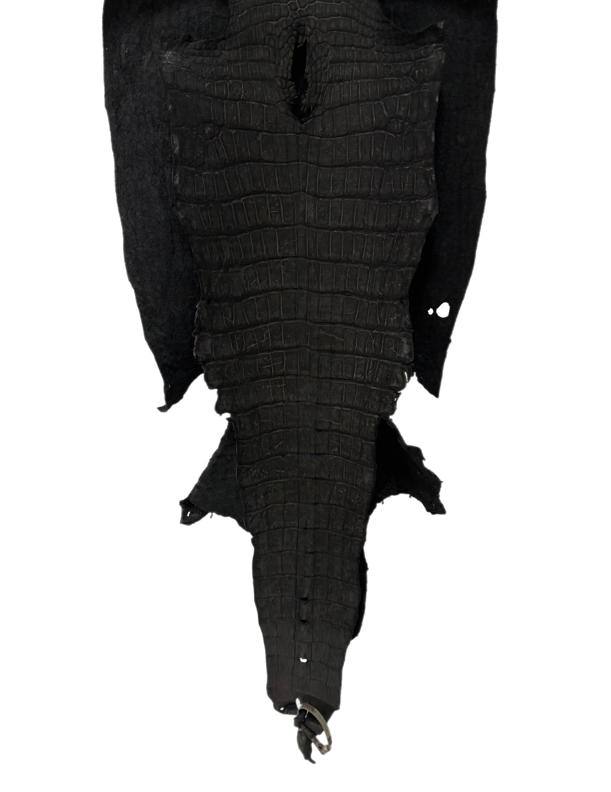 42 cm Grade 4/5 Black Nubuck Wild American Alligator Leather - Tag: LA23-0002074