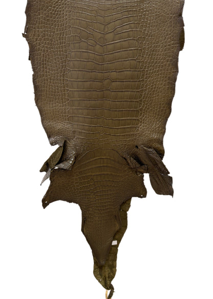 44 cm Grade 3/4 Olive Matte American Alligator Leather - Tag: LA23-0001540