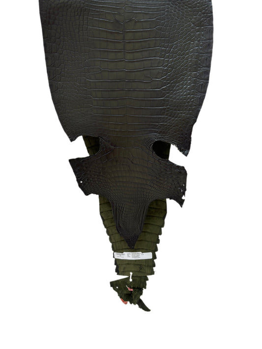 30 cm Grade 2/3 Olive Antique Farm-Raised American Alligator Leather - Tag: FL21-0024134