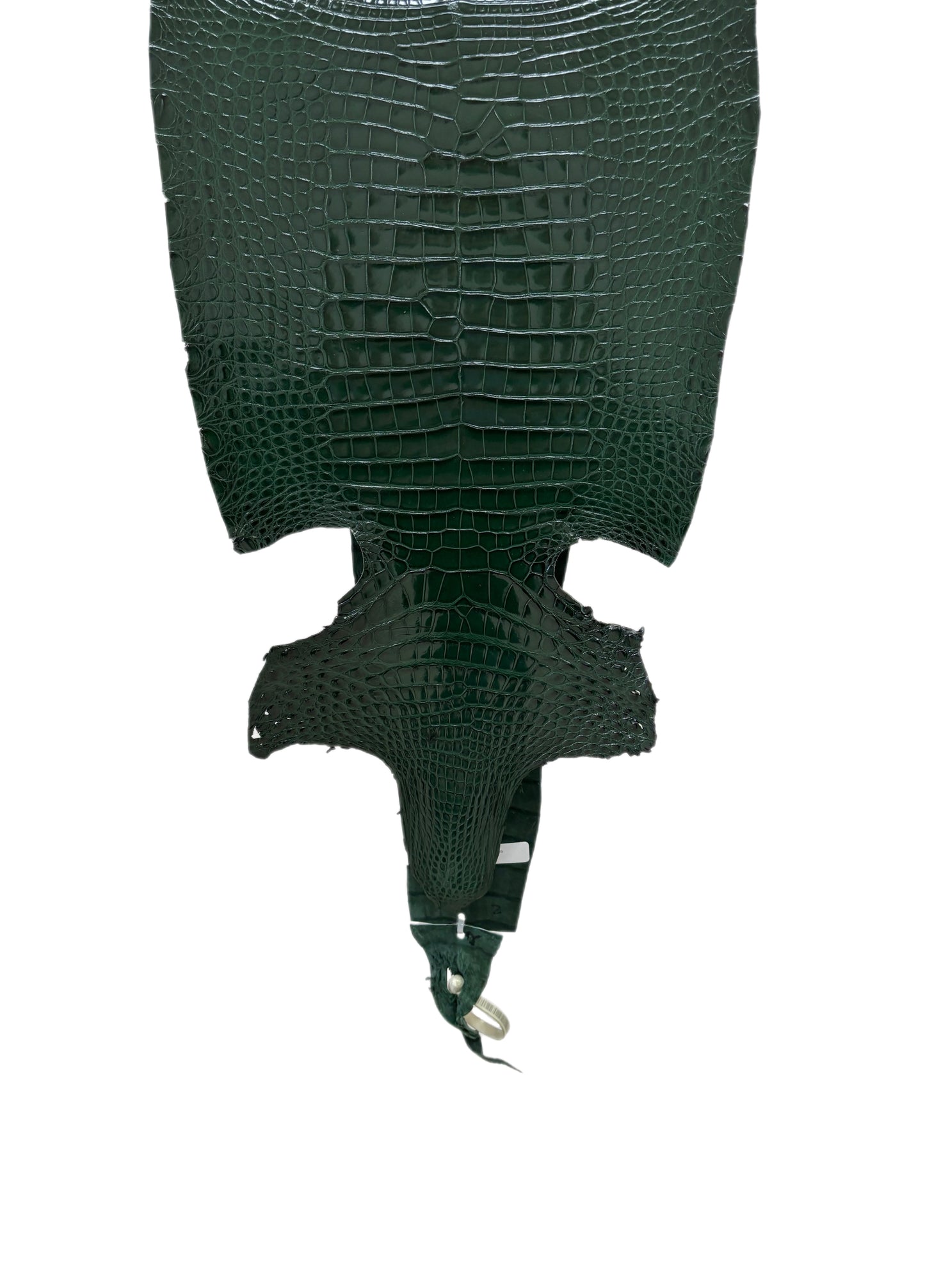 32 cm Grade 2/3 Forest Green Millennium Farm-Raised American Alligator Leather - Tag: FL17-0035806