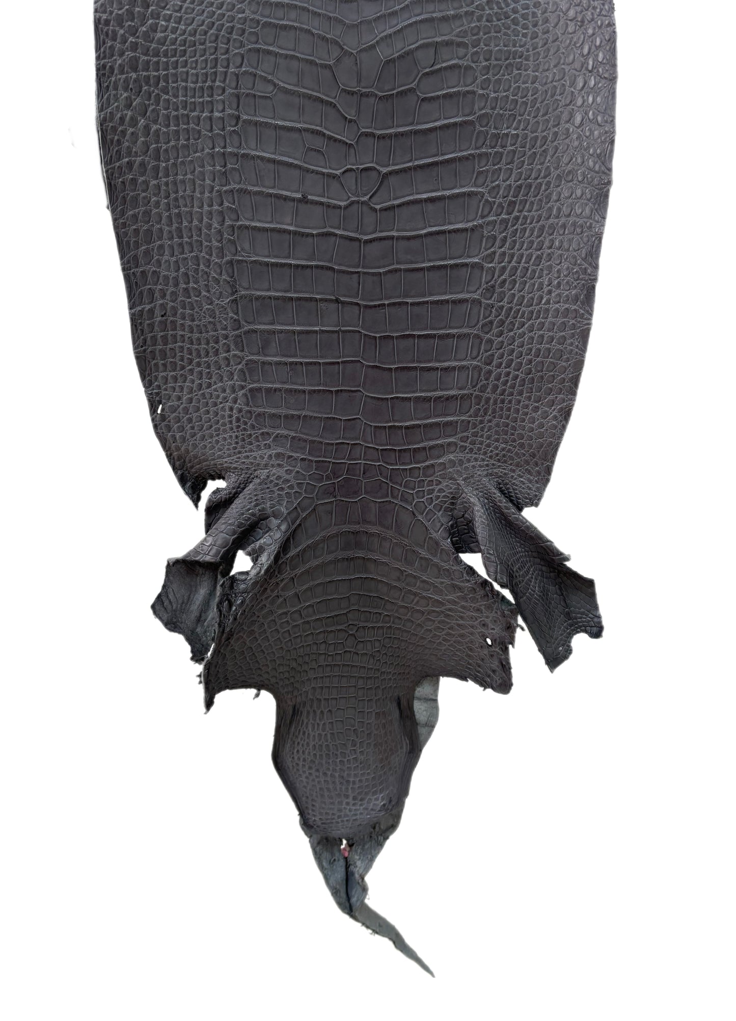 39 cm Grade 3/4 Serpentine Grey Matte Wild American Alligator Leather - Tag: LA24-0022433