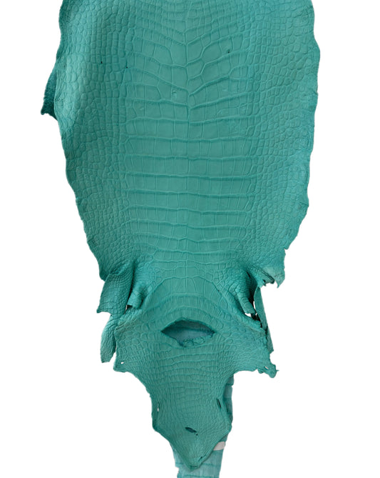 37 cm Grade 3/4 Seafoam Matte Wild American Alligator Leather - Tag: LA23-0002066