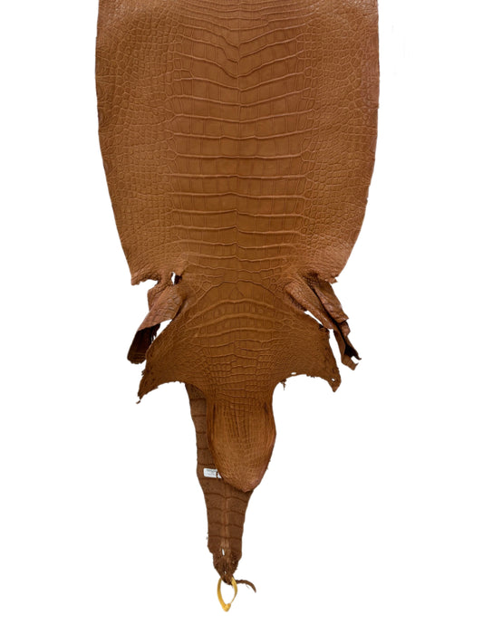 42 cm Grade 2/3 Almond Matte Wild American Alligator Leather - Tag: LA23-0022124