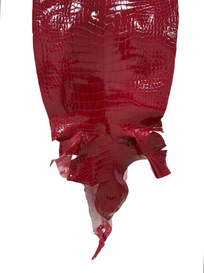 38 cm Grade 2/3 Red Glazed Wild American Alligator Leather - Tag: LA23-0034064