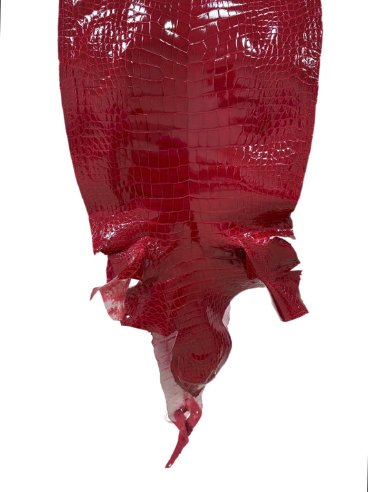 38 cm Grade 2/3 Red Glazed Wild American Alligator Leather - Tag: LA23-0034064