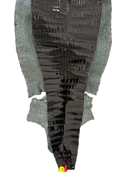 43 cm Grade 2/3 Black Glazed Wild American Alligator Leather - Tag: ITCC-0539878