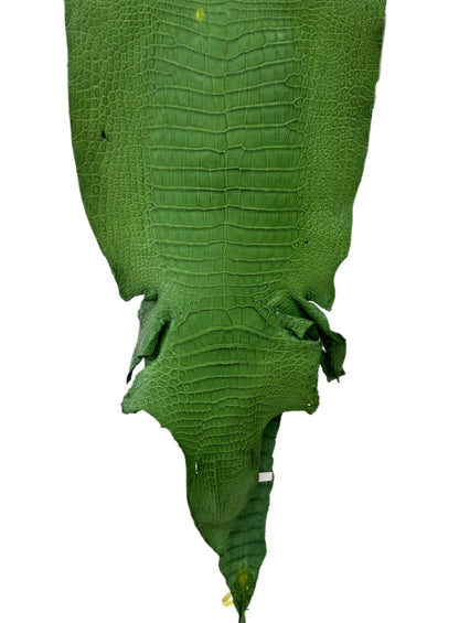 41 cm Grade 3/4 Jungle Green Matte Wild American Alligator Leather - Tag: LA23-0003476